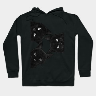 Three black cats in a circle Hoodie